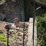 Muntaecara Diffuso Hotel Apricale
