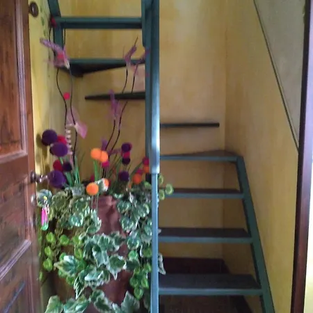 Muntaecara Diffuso 3*