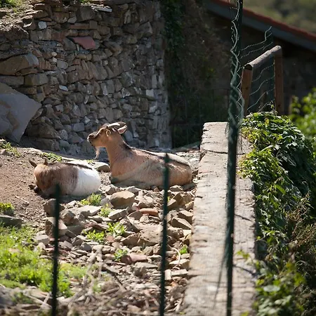 Muntaecara Diffuso מלון אפריקלה