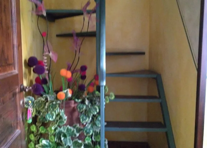 Muntaecara Diffuso 3*