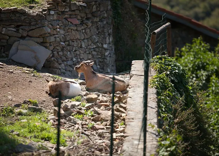 Muntaecara Diffuso Szálloda Apricale
